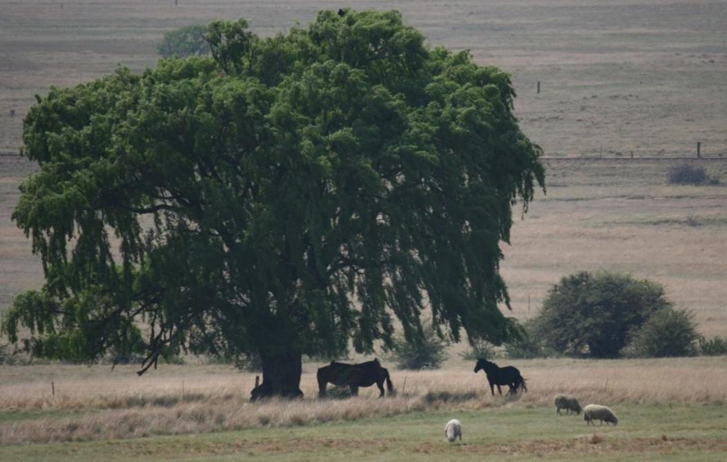 Forellenhof Guest Farm Wakkerstroom Kültér fotó