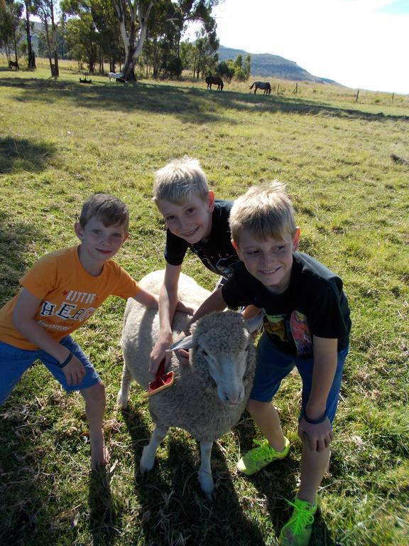 Forellenhof Guest Farm Wakkerstroom Kültér fotó